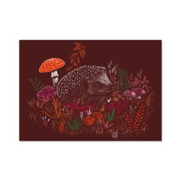 Igel Poster A4