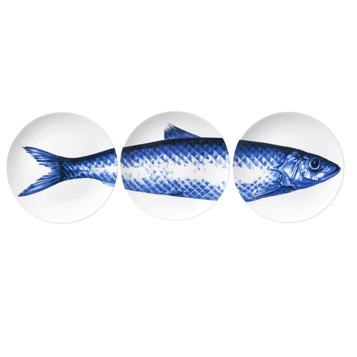 Piatti con Pesce (3 pezzi)