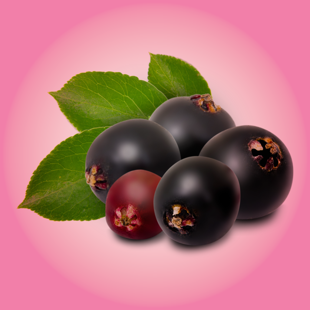 Fruity Mate, mate de frutos rojos - 100g