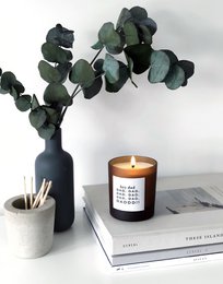 sol | energigivende eukalyptus + lime genopfyldeligt lys