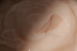 Body Lotion Grapefruit 30 ml