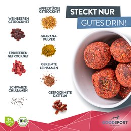 Energyballs BIOLOGICHE, guaranà alla fragola, semi di lino germinati