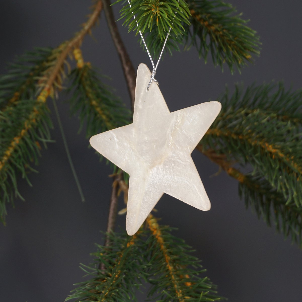 Weihnachtsbesatz Kopfstern natur