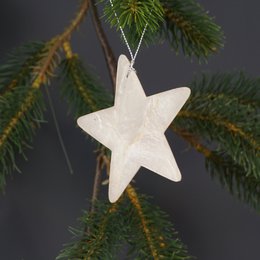 X'mas trimhoofd ster naturel