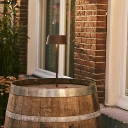 Hugo Mocha Brown Rechargeable Table Lamp