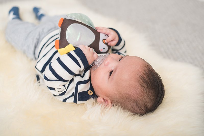 IL PRINCIPE IL PINGUINO