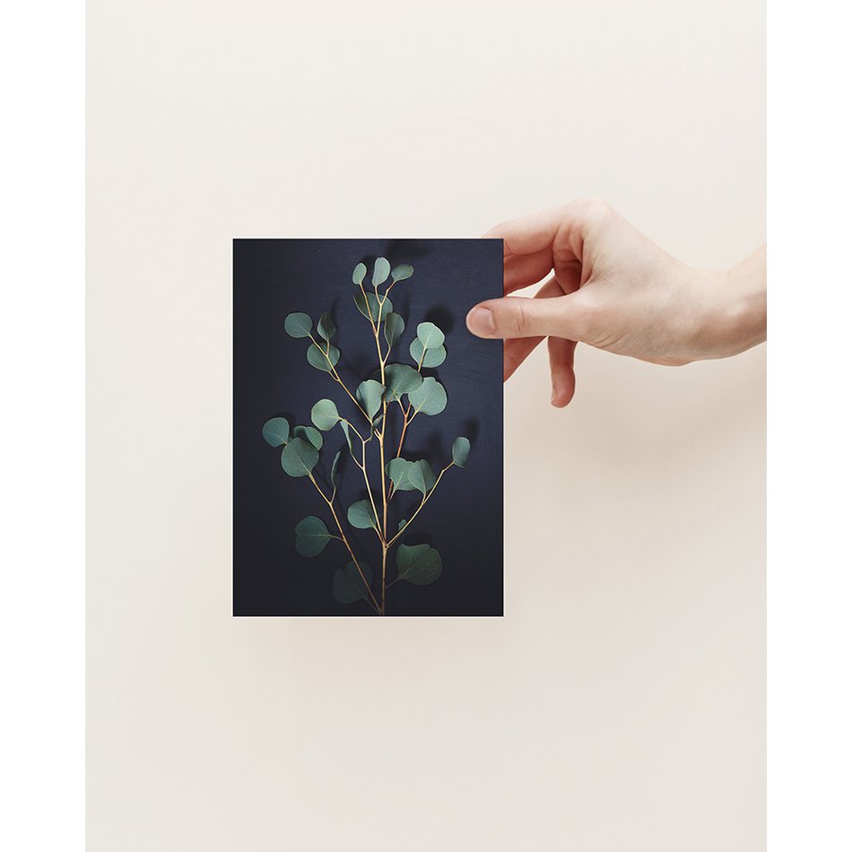 Ansichtkaart Donker Eucalyptus (PK_063)