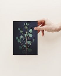 Postkort mørk eukalyptus (PK_063)