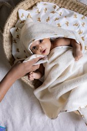 Soft, absorbent washable wipes featuring a delightful fox print pattern, perfect for baby's bath time.