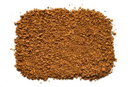 Chaga-Pilz