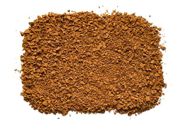 Chaga-Pilz