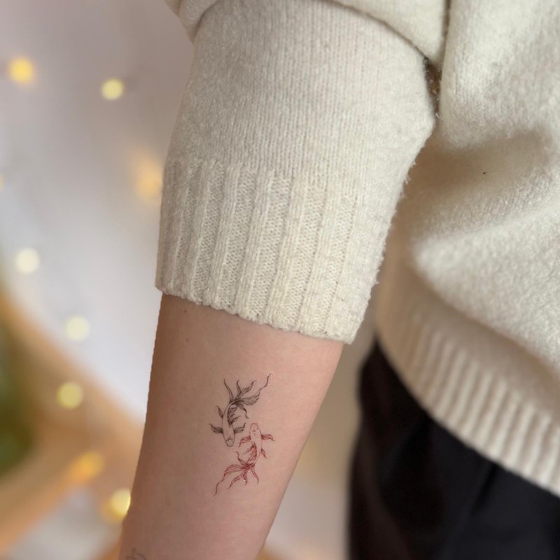 Tatuaggio temporaneo: Duo di carpe