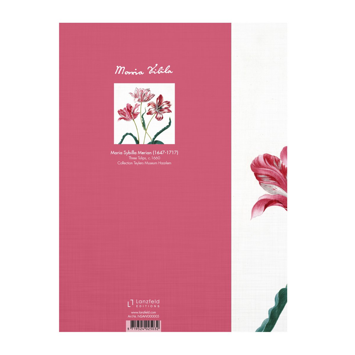 Journal d'artiste, Merian, trois tulipes