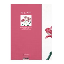 Journal d'artiste, Merian, trois tulipes