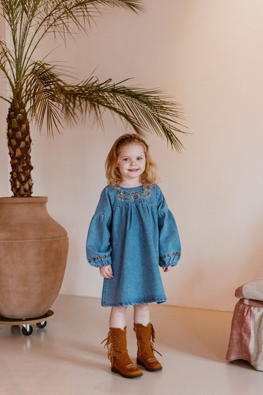 Marina Denim Dress