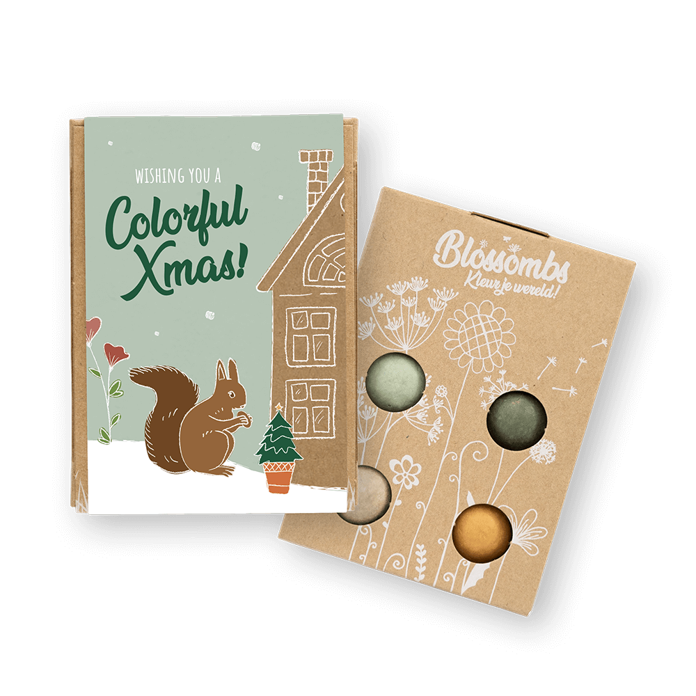 Giftbox mini with 4 Flower Seeds - Wishing You a Colorful Xmas!