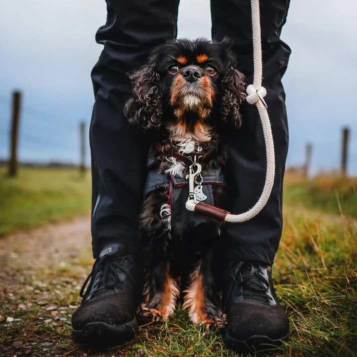 Just Cotton adjustable dog leash | Rope line Ecru