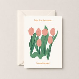 Tulipaner fra Amsterdam Postkort
