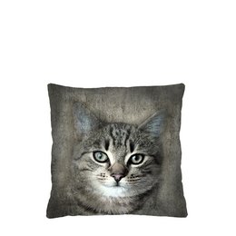 Decorative square pillow with a close-up image of a gray tabby cat. The pillow features a soft, plush fabric and measures 40 x 40 cm.