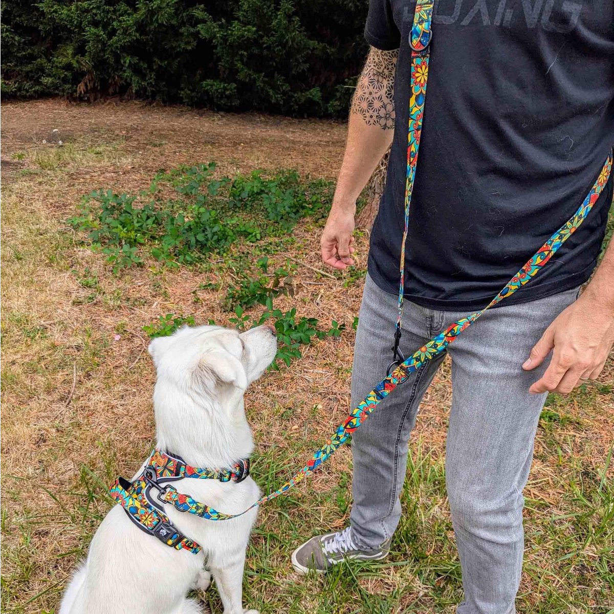 Multi-position Mandala leash