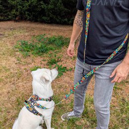 Multi-position Mandala leash