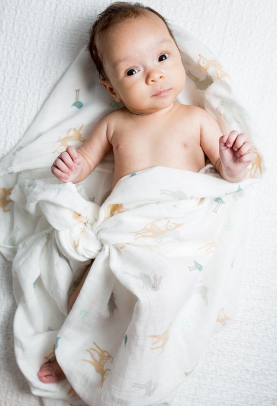 Lulujo swaddle 120x120 - Little Fawn