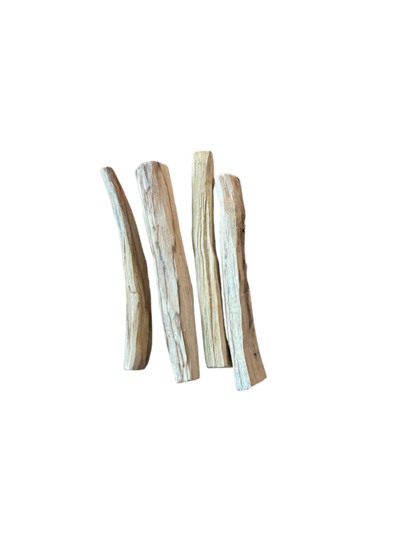 Palo Santo Box 1 kg - Palo Santo 1 kg Begasungsstöcke