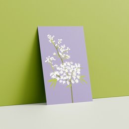 Postcard - Filipendula
