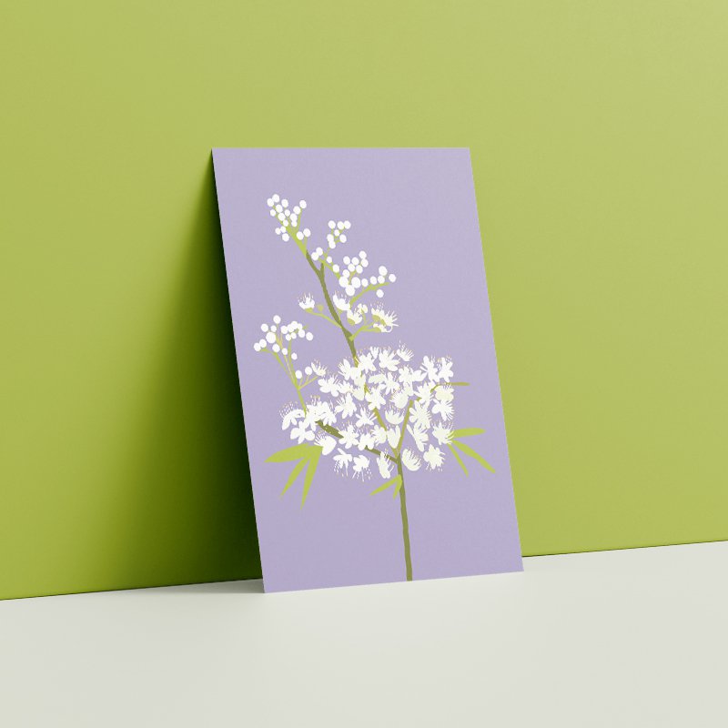 Postcard - Filipendula