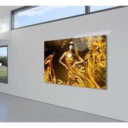 Foto op acrylglas - Golden Madness