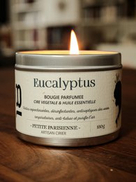 Eucalyptus duftlys