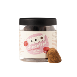 Pot cadeau de truffes au chocolat et macaron aux framboises 130g | Chocolat de luxe fruité