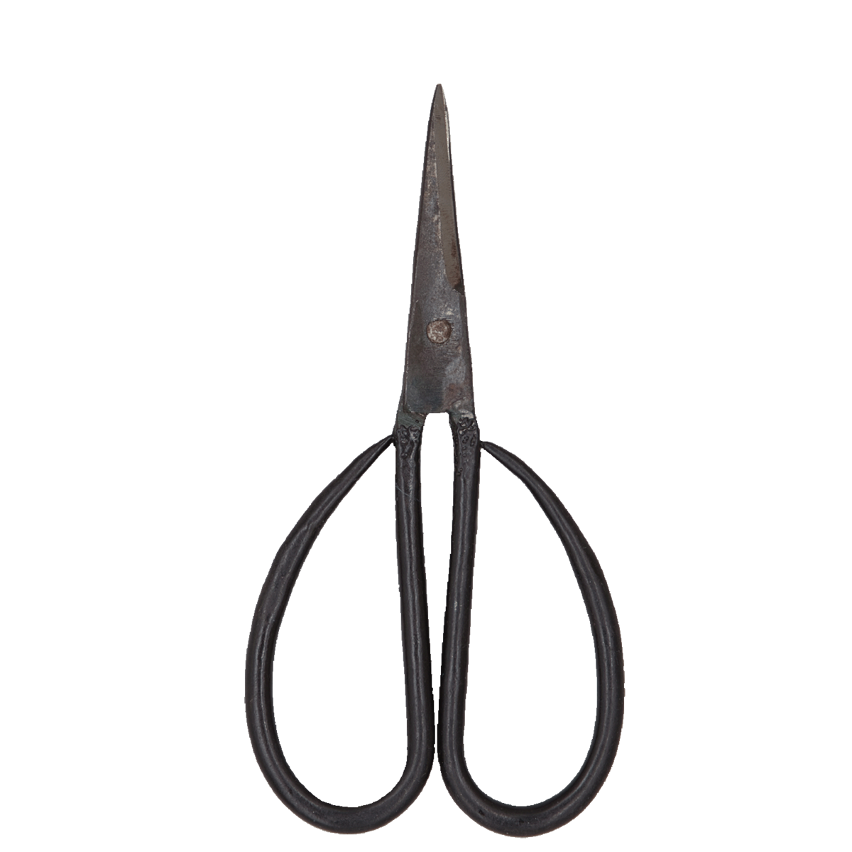 AUTHENTIC LAMES THO medium, ciseaux de cuisine, tranchant 7cm