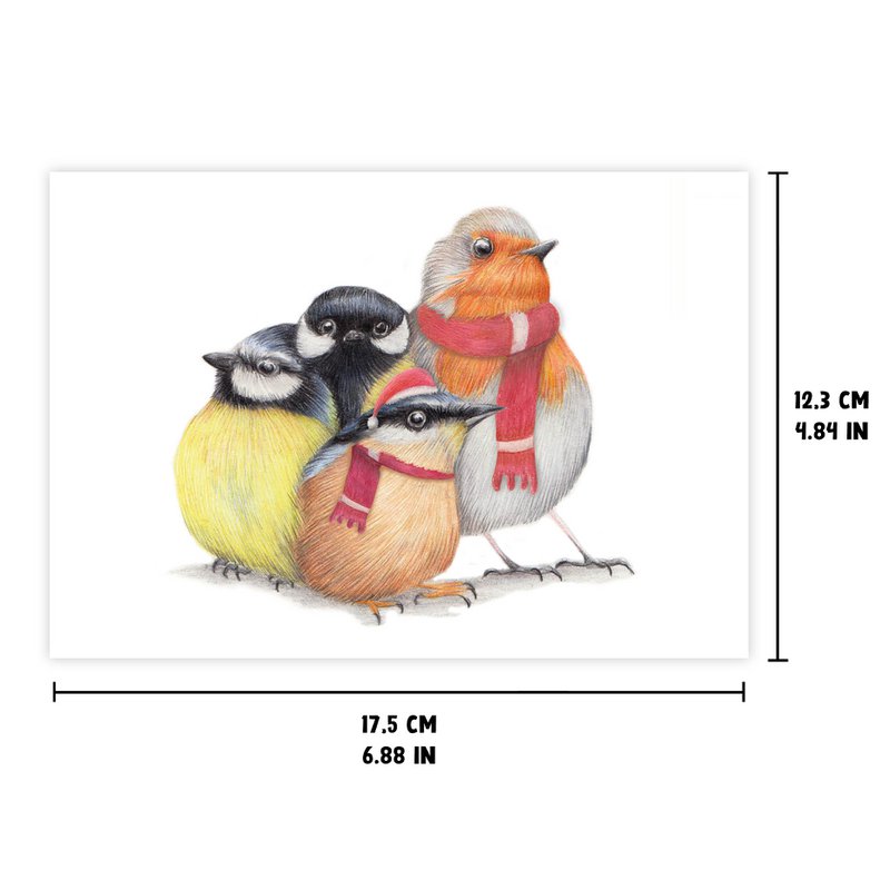 Birds Christmas Card, Greeting Card, Holiday Card 12,3 x 17,5 cm