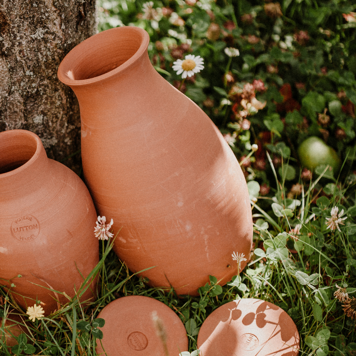Ollas Vegetable Garden to Bury