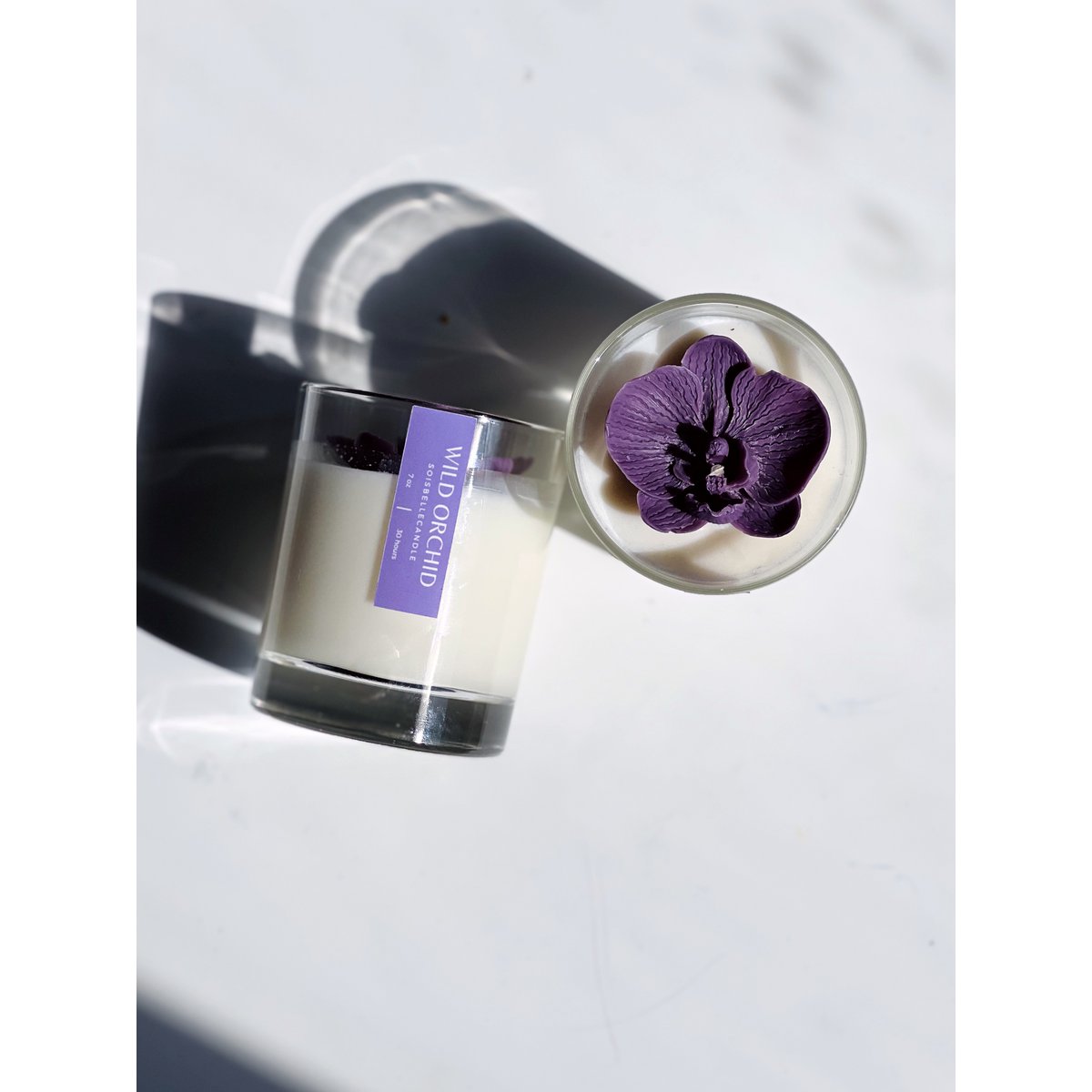 Wild orchid
