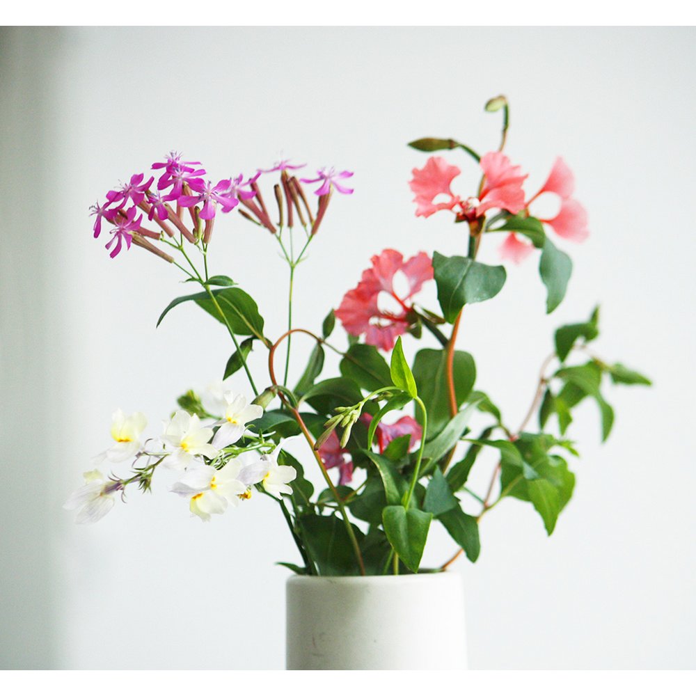 Send and Grow postcard - Just a greenting