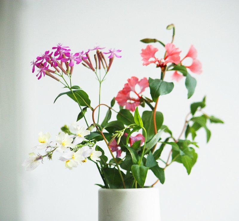 Send and Grow postcard - Just a greenting