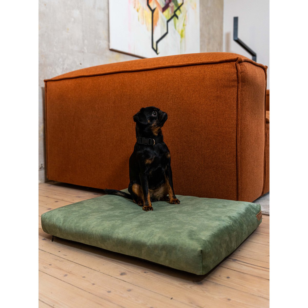 Madras "Soft" til en hund og en kat - genbrugt