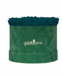 Velvet Green Collection