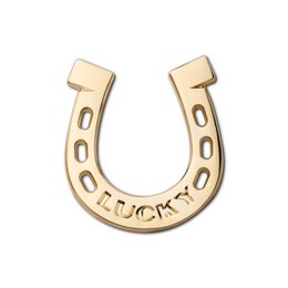Golden Metal Pin "Horseshoe"
