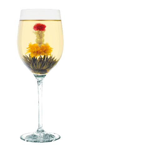 Flora Tee Blumenliebhaber