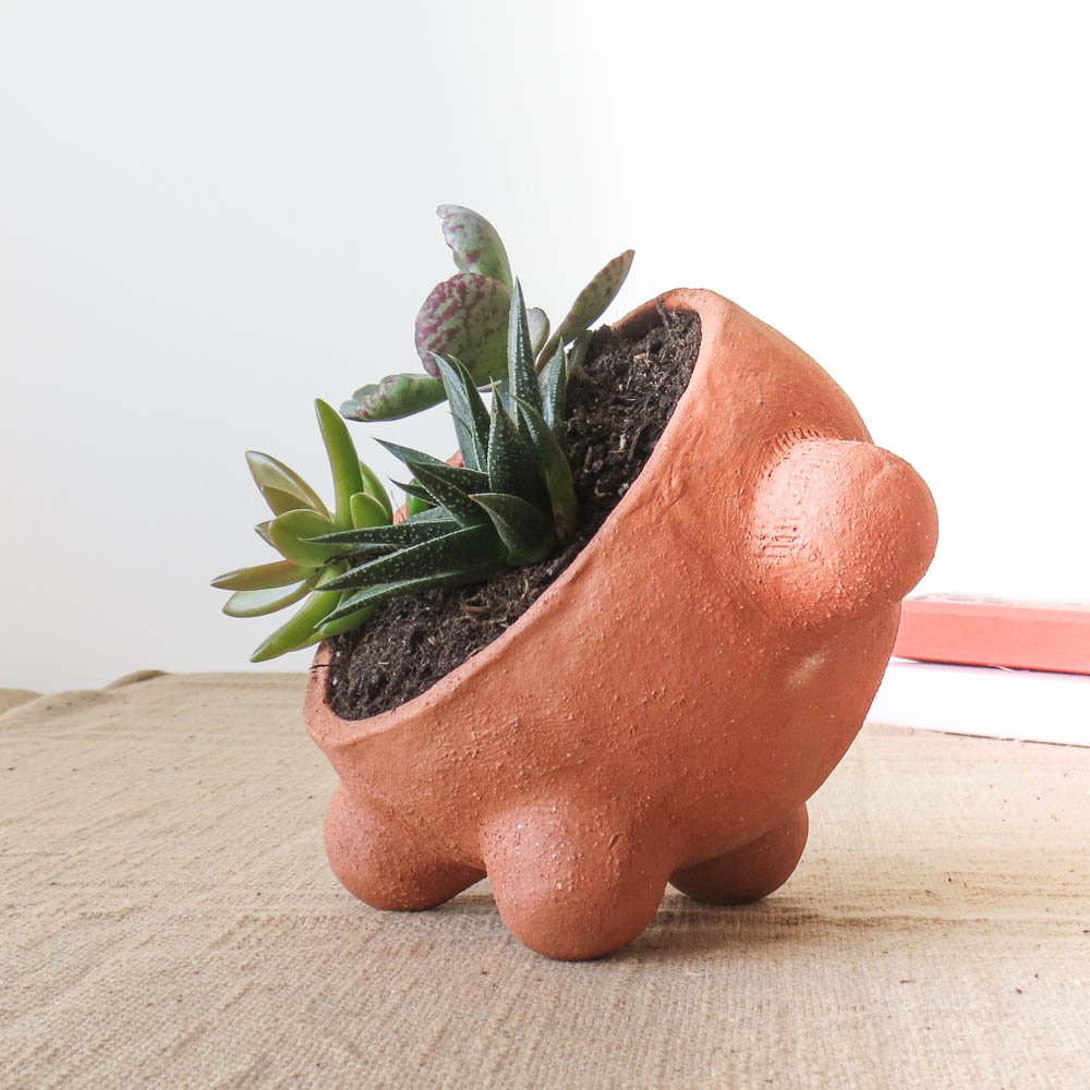Emma Terracotta Planter