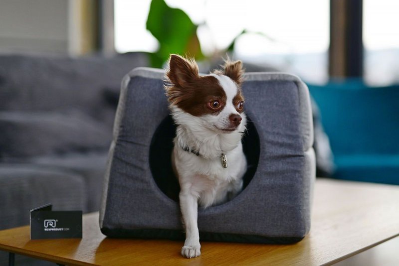 UP&DOWN niche pour chien 2en1- gris clair chiné