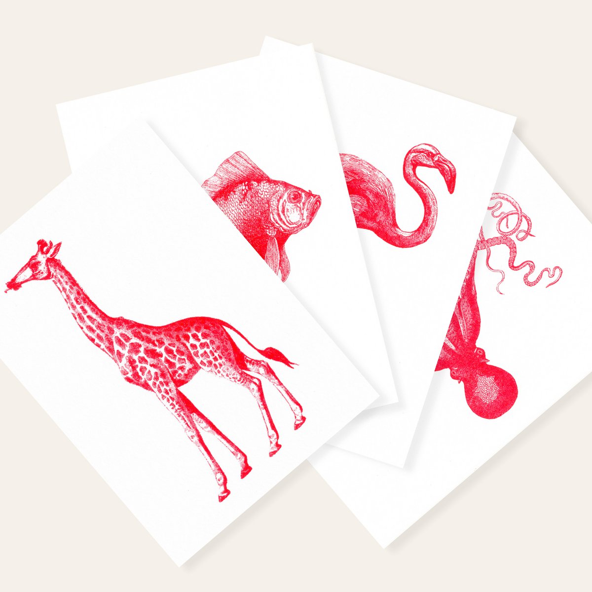 Risografie Postcard - Veilvis - Din A6