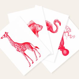 Postcard Risogramma - Veil Fish - Din A6