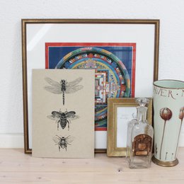  Framed art print featuring detailed illustrations of insects, including a dragonfly and two bees. The print is available in two variants, with or without a poster bar.
