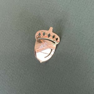 Acorn golden pin