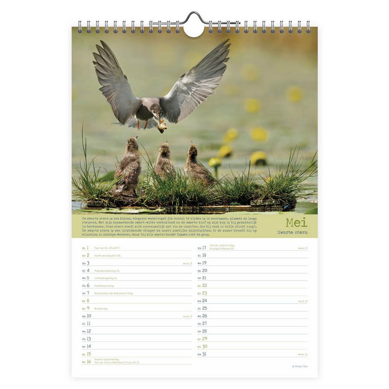 0010 Birds 2027