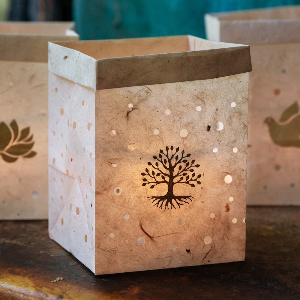 Gift of Light | Tree of Life